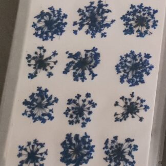 Osušeno cvijeće Plavi cvjetovi 12 kom.