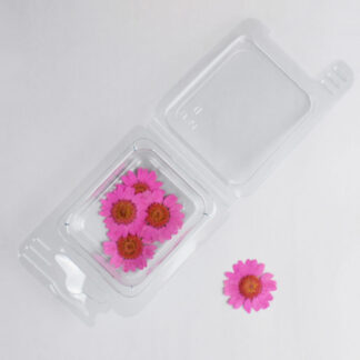 Osušeno cvijeće Camomilla 12 kom