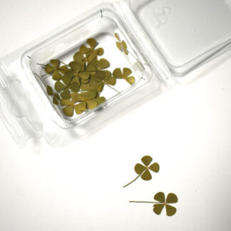 Silica gel - suho cvijeće