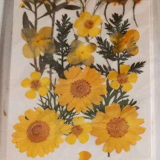 Osušeno cvijeće "Žuti" buket 9 vrsta prešanog cvijeća