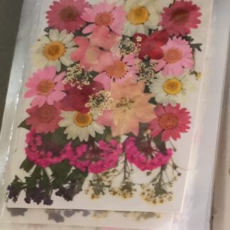 Osušeno cvijeće "Rosa" buket 9 vrsta prešanog cvijeća