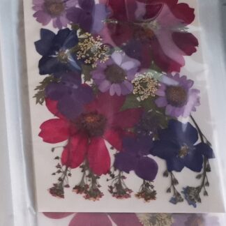 Osušeno cvijeće "Viola" buket 9 vrsta prešanog cvijeća